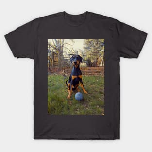 Lets Play Ball T-Shirt